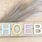 Name Puzzle Pastel